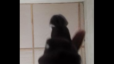 La polla necesita un coño bien mojado